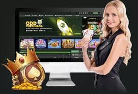 560bet